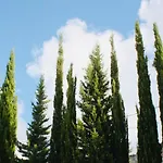 Al Tempio Della Pace *