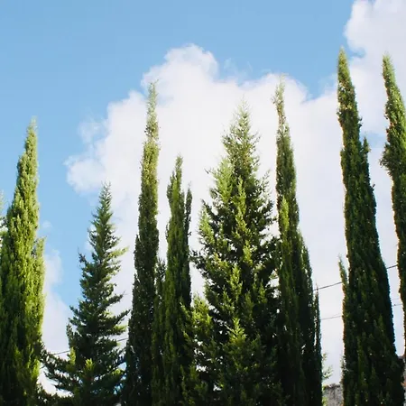 Al Tempio Della Pace *