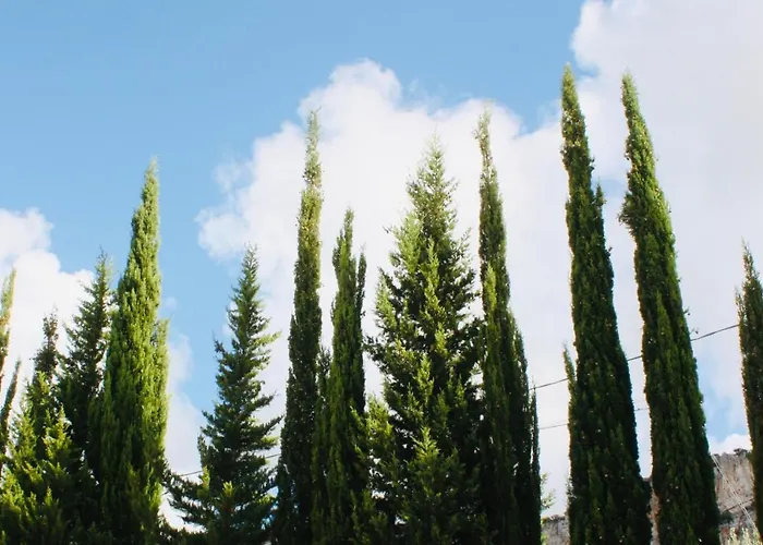 Al Tempio Della Pace *